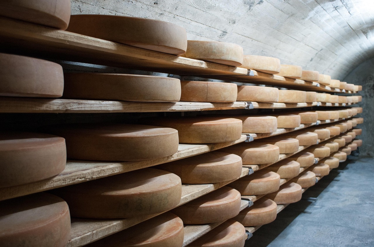 Transformation du lait et du fromage
