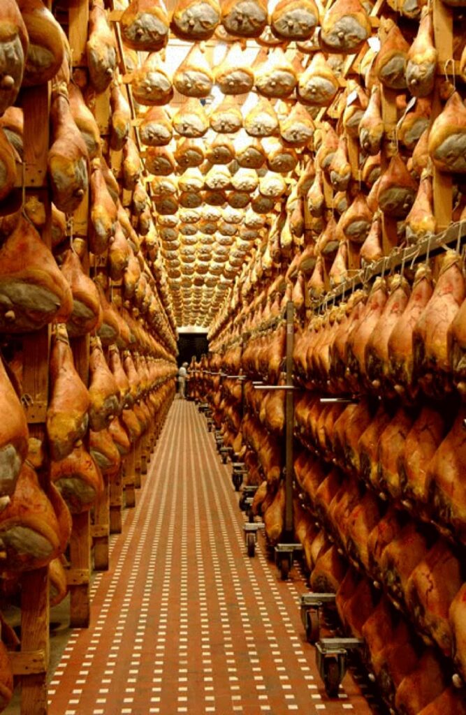Salle d’affinage remplie de jambons suspendus pour séchage et maturation artisanale