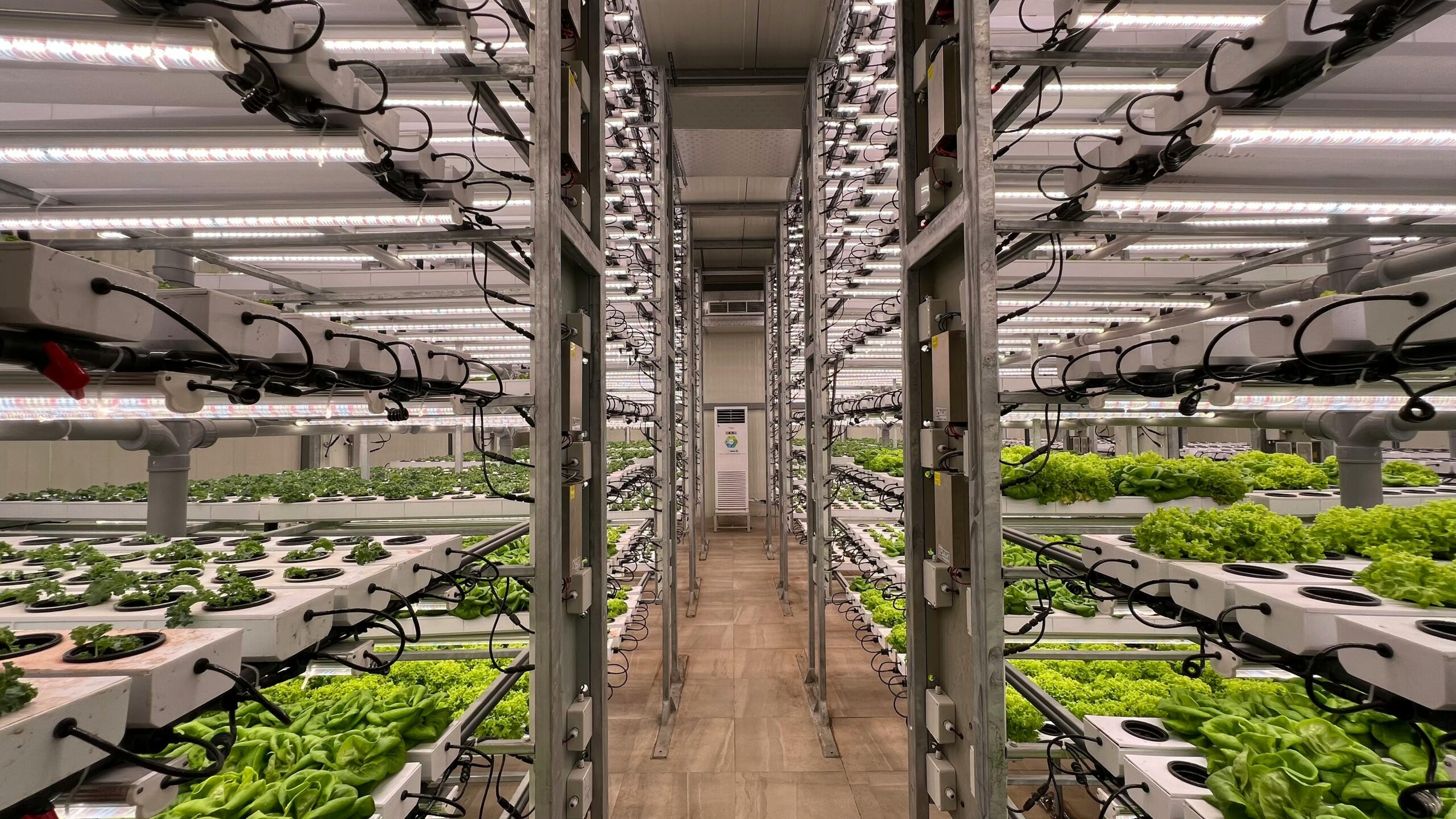 Transformation des fruits et légumes